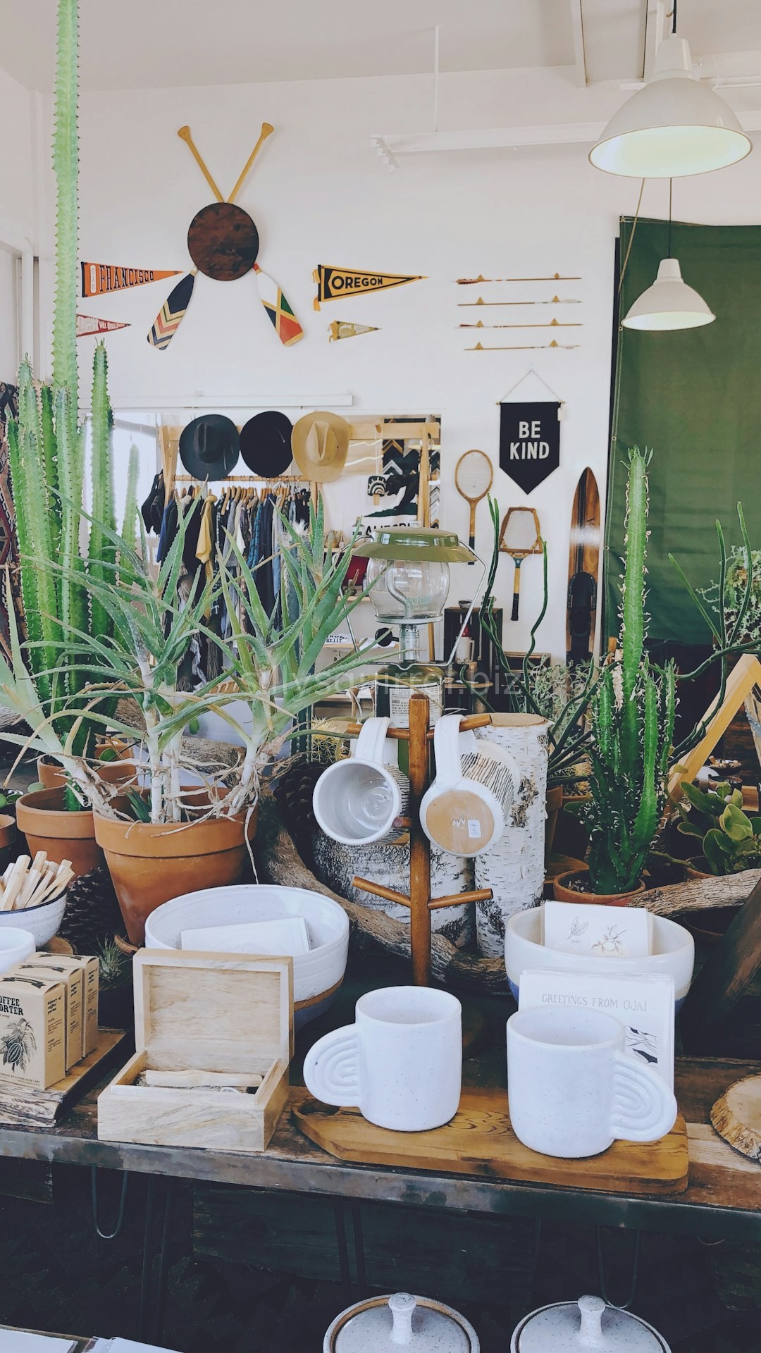 Shop Interior